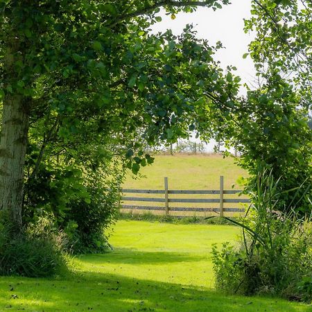 Marcassie Farm Lodges - Birch Studio Forres Eksteriør bilde