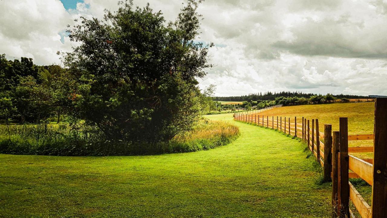 Marcassie Farm Lodges - Birch Studio Forres Eksteriør bilde