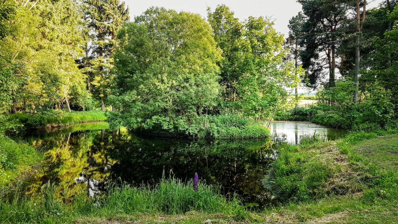 Marcassie Farm Lodges - Birch Studio Forres Eksteriør bilde