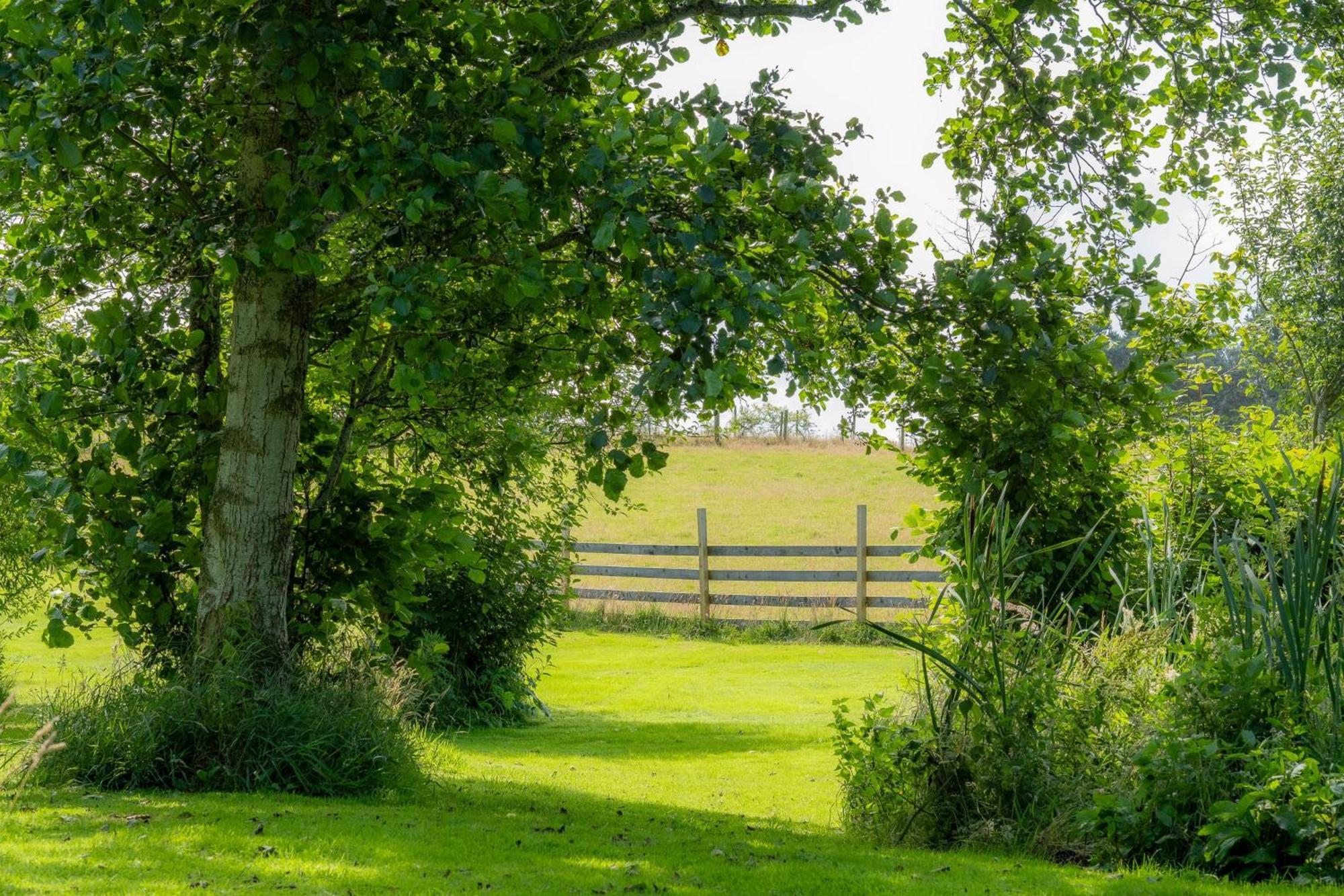 Marcassie Farm Lodges - Birch Studio Forres Eksteriør bilde